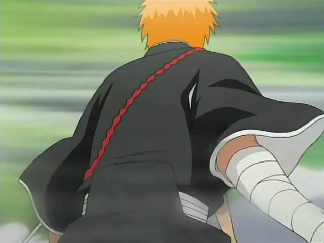 Otaku Gallery  / Anime e Manga / Bleach / Screen Shots / Episodi / 030 - L ostacolo Renji / 163.jpg